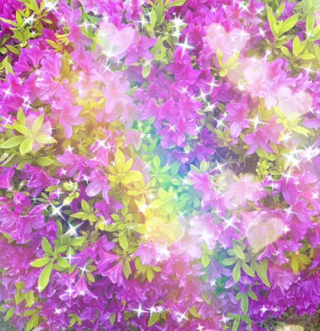 ☆ともか奥様のブログ 夜のともか🌟