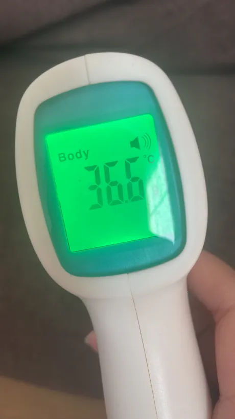 すっかり春🌸/もえ【青森大釈迦】