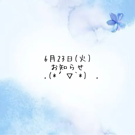 【新人】せいか4/12入店弘前黒石ちゃんこ
