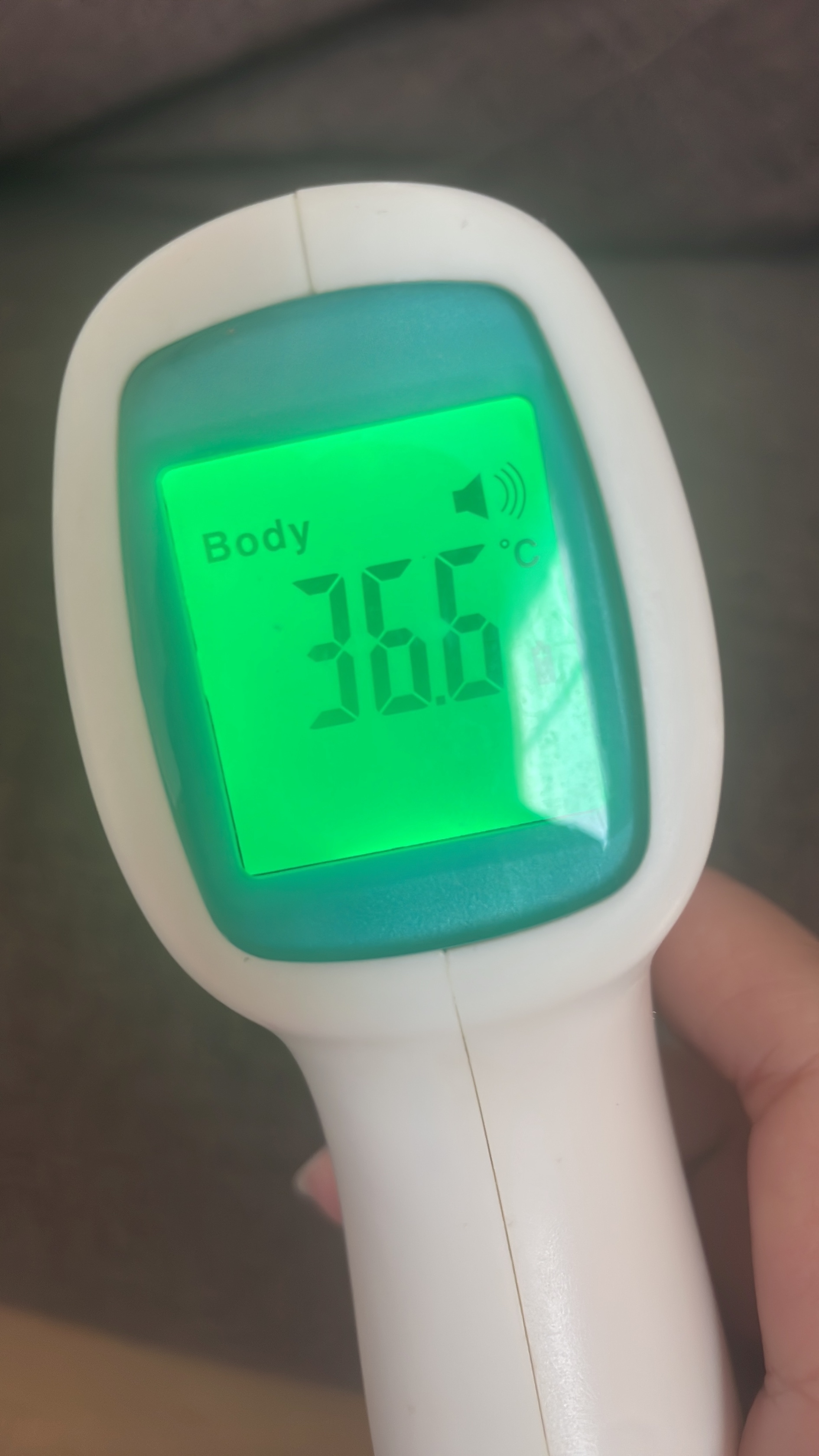 すっかり春🌸/もえ【青森大釈迦】