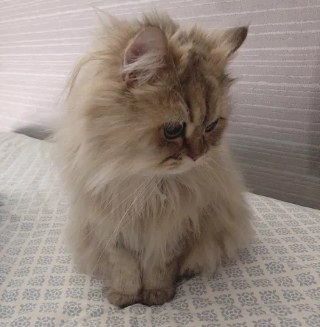 ありがとう ( * ´艸)/なお