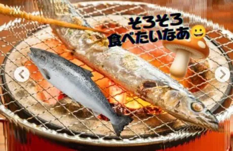 秋刀魚もいいけどトロニシンも美味しい/マアサ