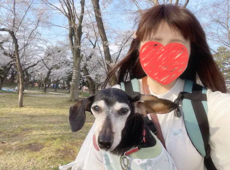 みなさんお久しぶりです 🌸(* ´ ︶`*)/Nozomiノゾミ[青森]