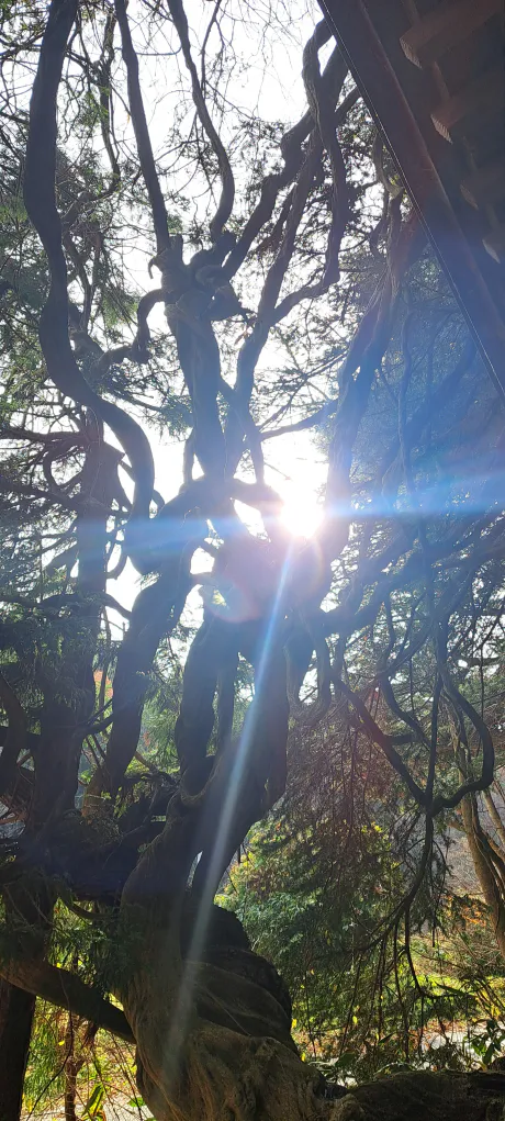 多岐川　由栞Escort Club CLASSY