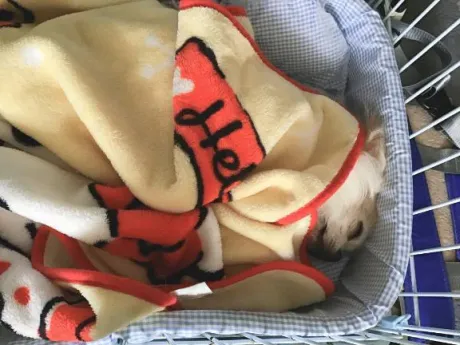 ごめんなさい/のぞみ★アナル調教師