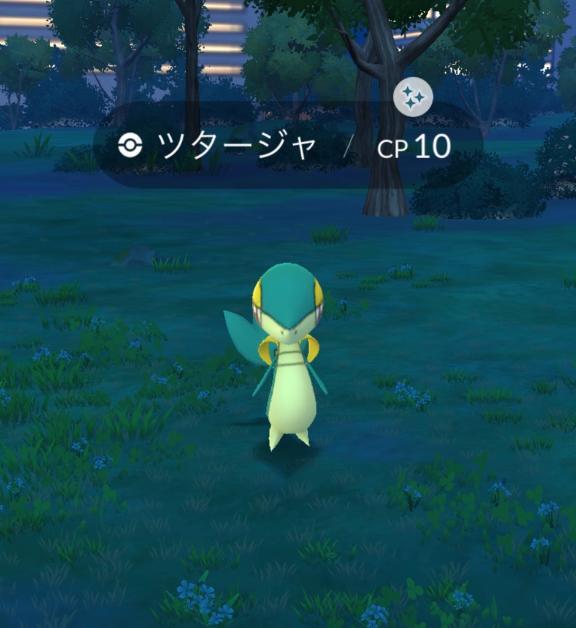 🍀色違い🍀