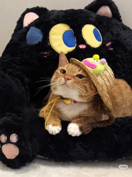 あのロイヤルクラブ