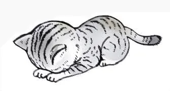ひまりのブログ お詫び