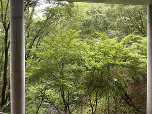 毎日…/きょうか 奥様