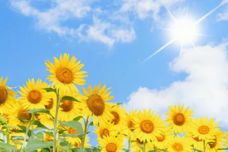 良い天気/そら
