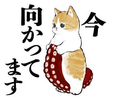 🐾🐾ご予約🐾🐾
