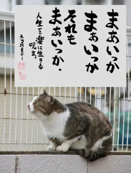 シオンのブログ おはようございます♡