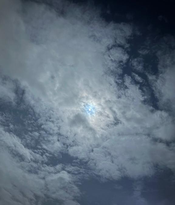 新人かや奥様メモリアル