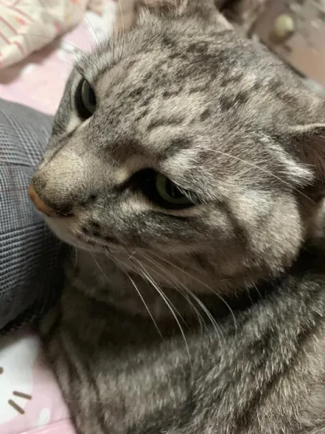 ひまり★愛嬌抜群フワフワボディ！隣の人妻お口で愛して