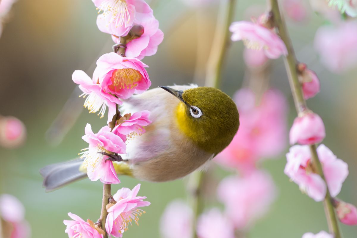 こんばんは/そら