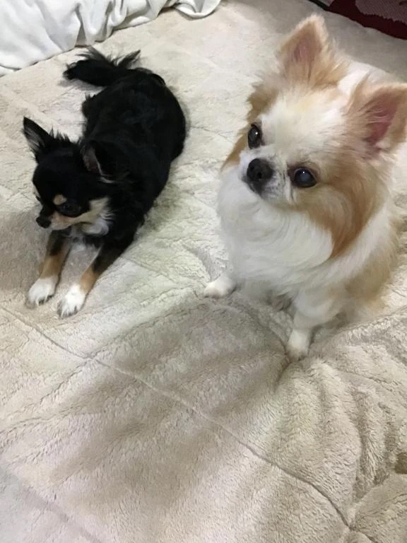 明日は休みです