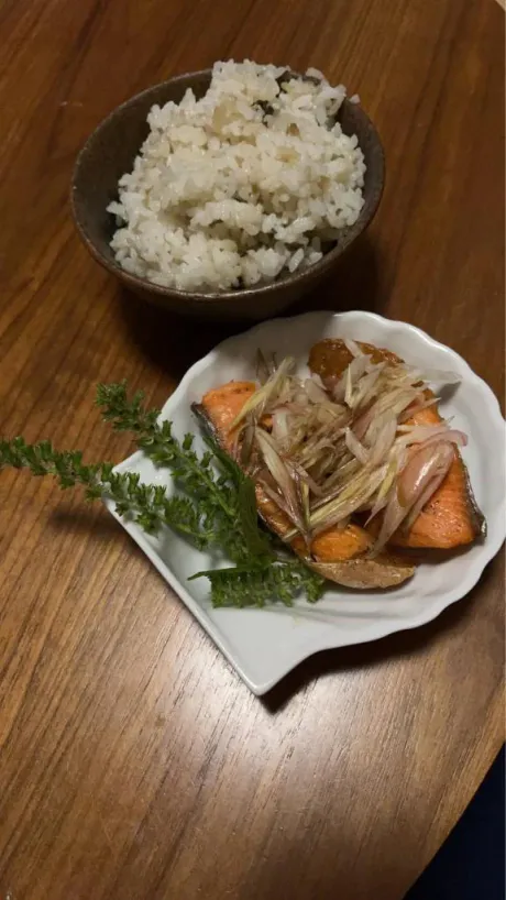 ルイ人妻生レンタルーNTRー