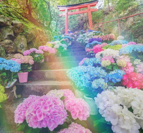 昨日のロングさま🎀/☆ともか奥様