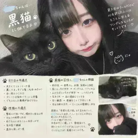 ねこだっ‼️