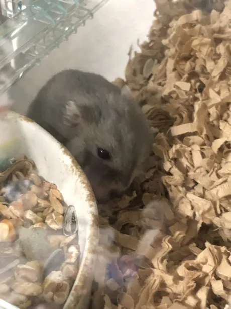 ナツメのブログ 本日も！ 