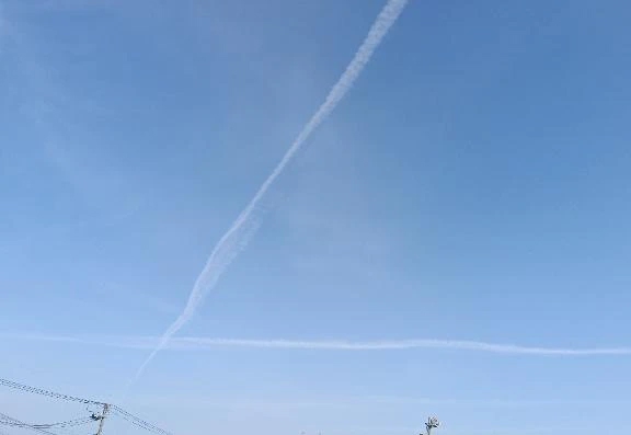 やはり、地震が来てしまった😰