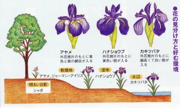 ‎𖤐 続きです
