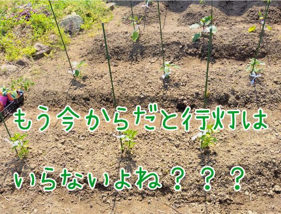 『あんどん』をご存じか？