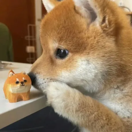 ありがとう (*^^*)/なお