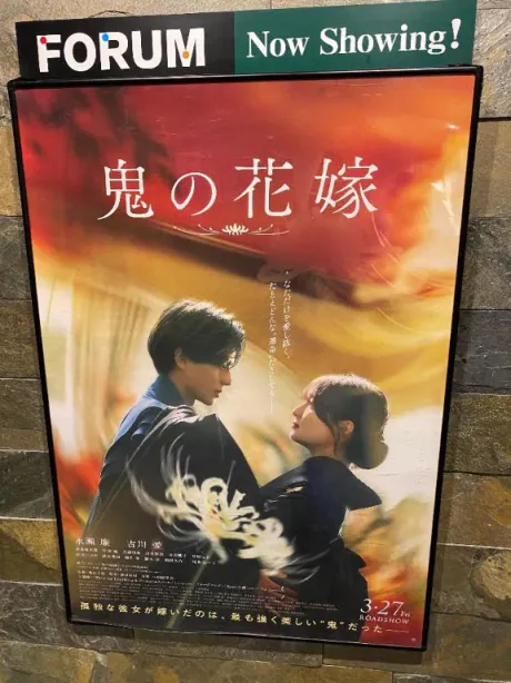 光葵-こうき-のブログ きゅん🫶