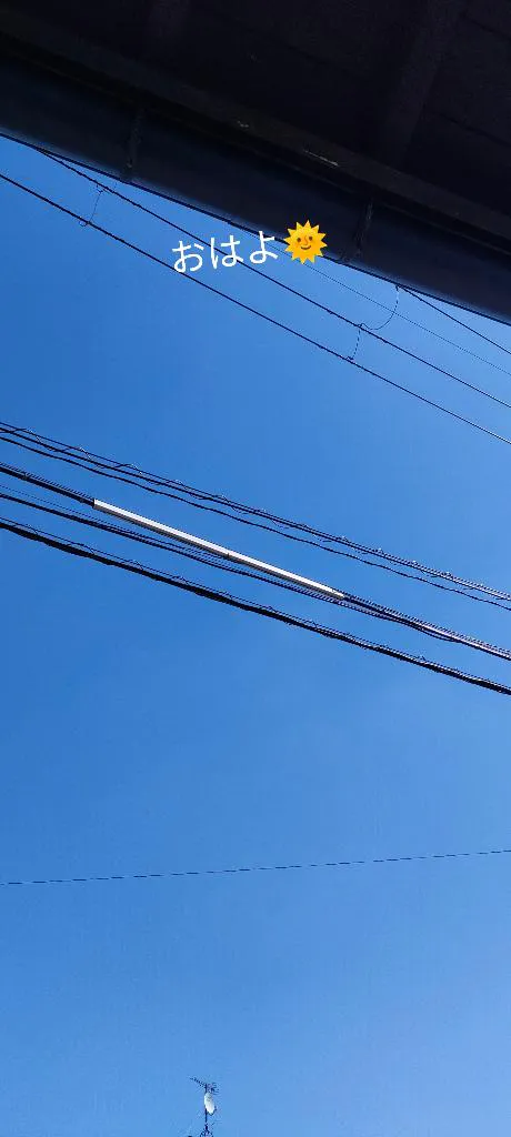 今日は出勤😊