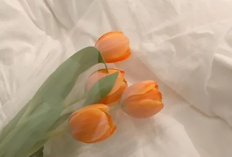 ありがとうございました♡/さな【弘前黒石大釈迦】