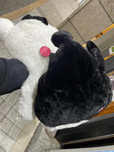 みくエススタイルクラブ
