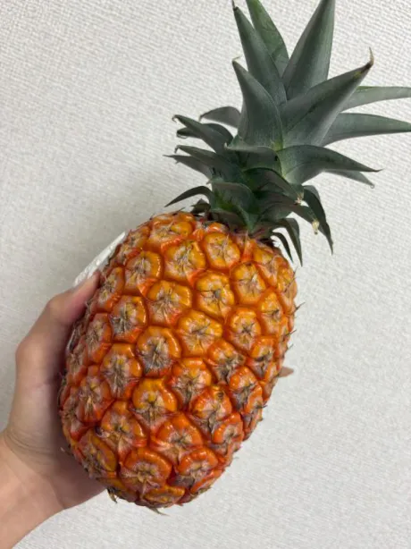 パイナップル🍍/しおり