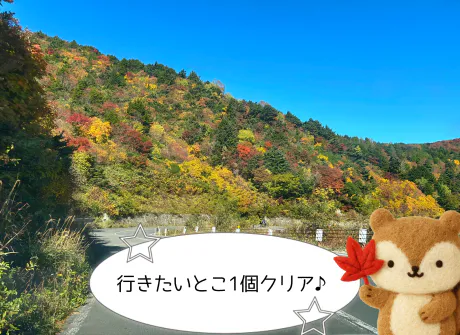かえで愛 LAND-アイランド-
