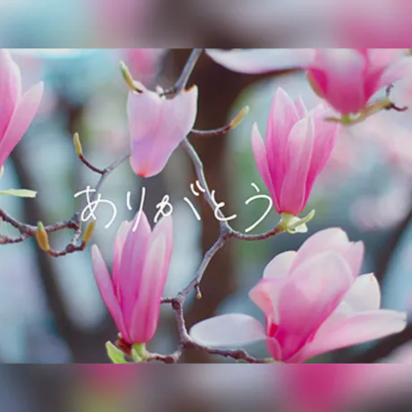 はる奥鉄オクテツ仙台店（デリヘル市場グループ）