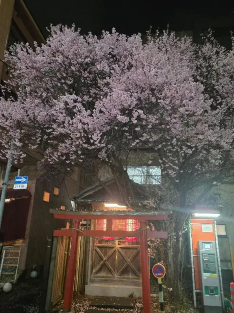 シュッシュッきーん💕春だね💕/なお