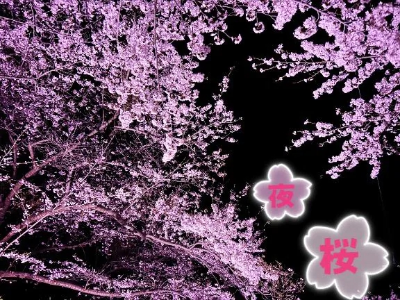 かえで愛 LAND-アイランド-