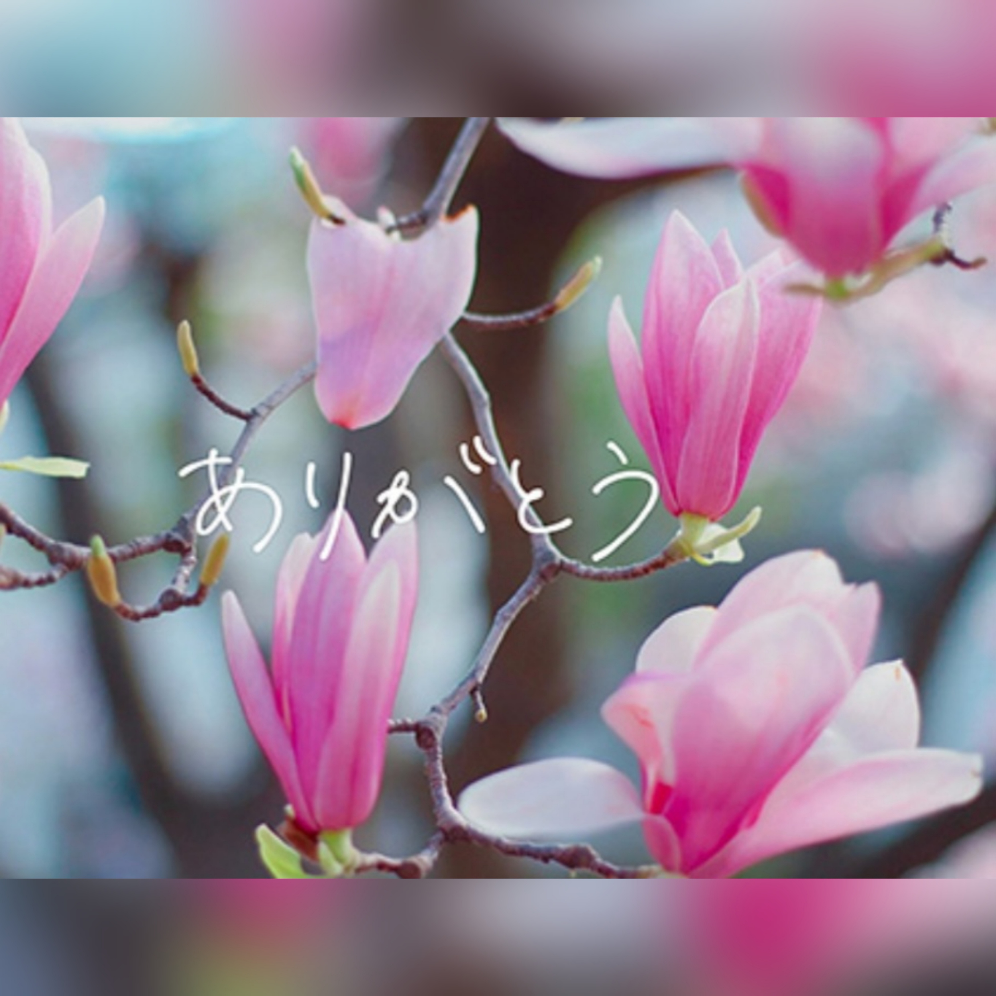 ありがとうの気持ち💌