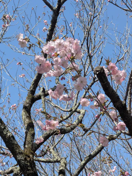 おはようございます😊