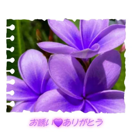 お誘い❤️ありがとう