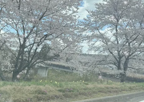 ももこです(^з^)本日出勤/ももこ