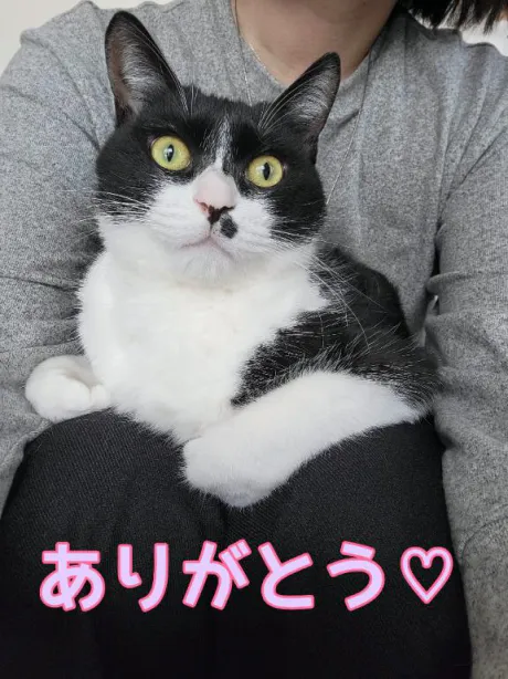るり・過激すぎる生動画配信中奥様メモリアル