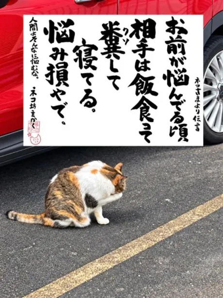 悩む時間は何分？？/シオン