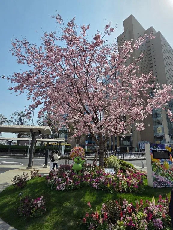 なお…💕戻ってきました( * ॑꒳ ॑*)💕