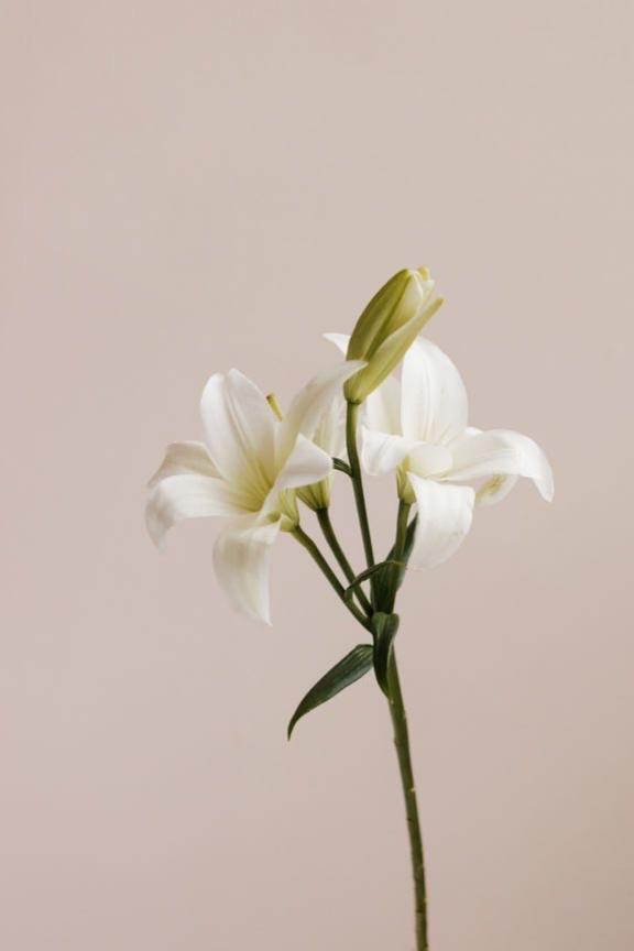 向かってます♡
