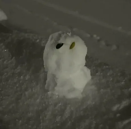 2月⛄️/えりか