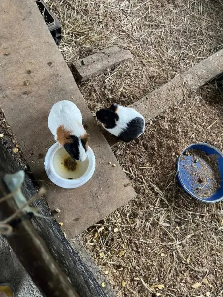 愛海-あいみ-人妻倶楽部　花椿盛岡店