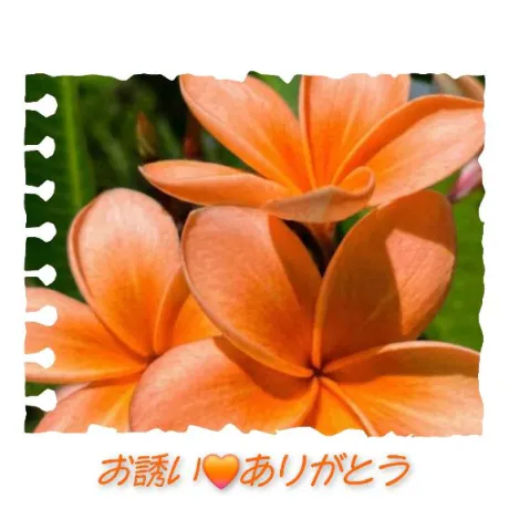 お誘い❤️ありがとう