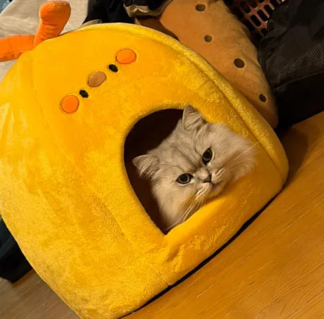 みみエススタイルクラブ