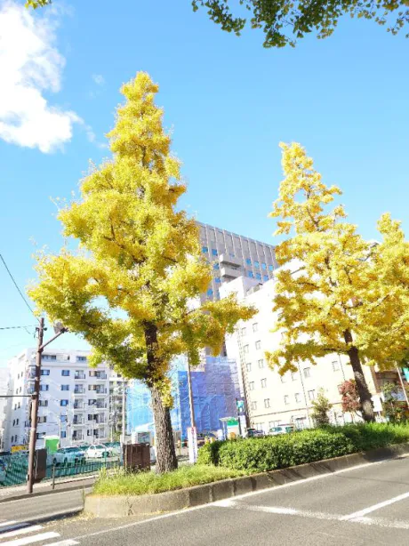 しき　奥様SUTEKIな奥様は好きですか？